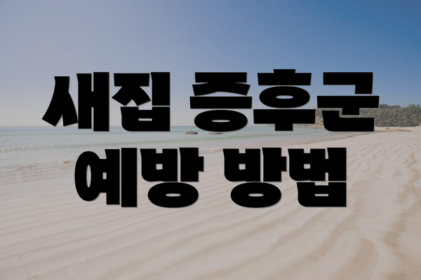 새집 증후군 예방 방법