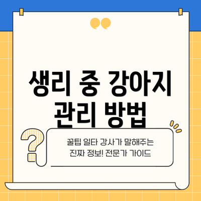 생리 중 강아지 관리 방법