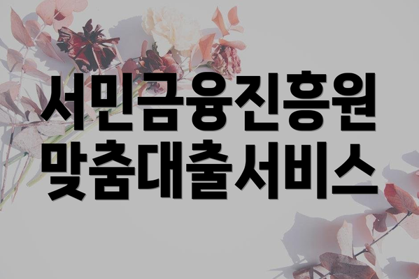 서민금융진흥원 맞춤대출서비스
