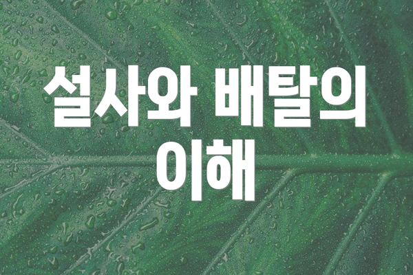 설사와 배탈의 이해