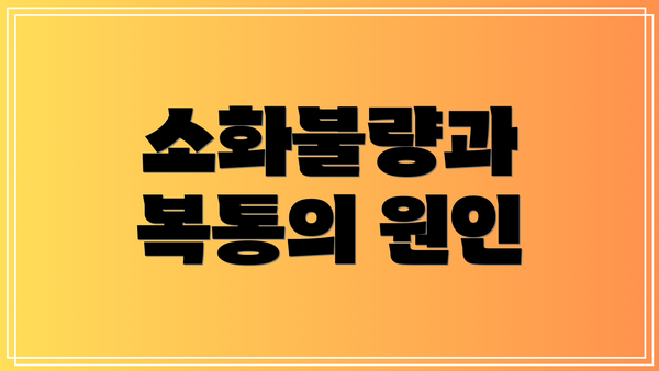 소화불량과 복통의 원인