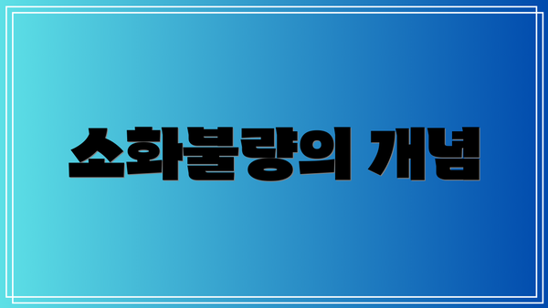소화불량의 개념
