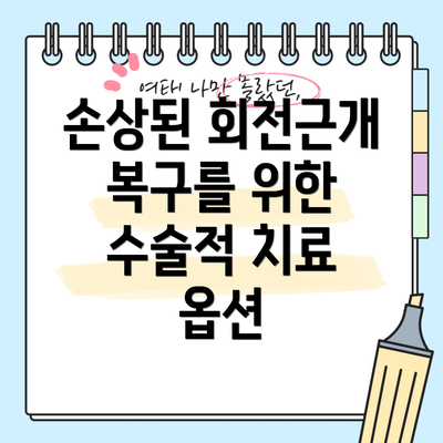 손상된 회전근개 복구를 위한 수술적 치료 옵션