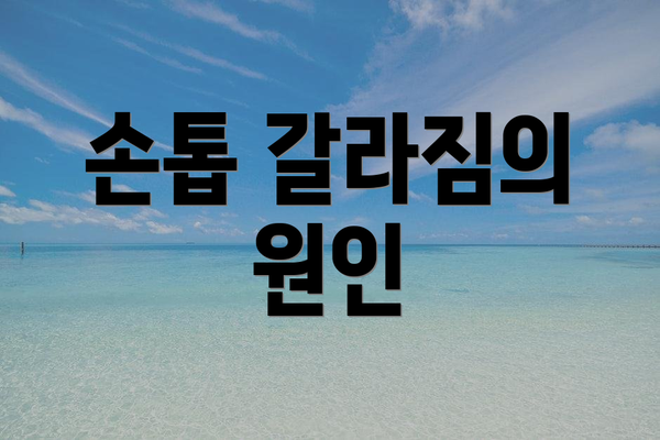 손톱 갈라짐의 원인