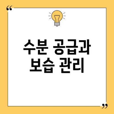 수분 공급과 보습 관리