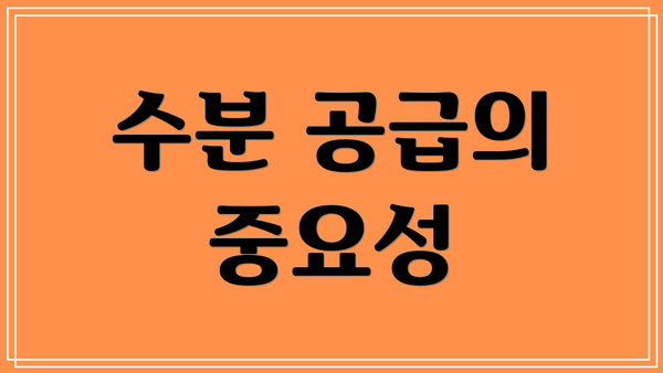 수분 공급의 중요성