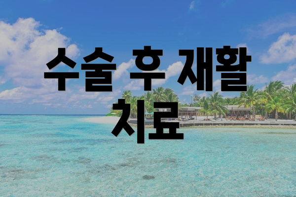 수술 후 재활 치료