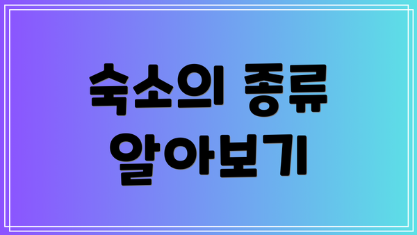 숙소의 종류 알아보기