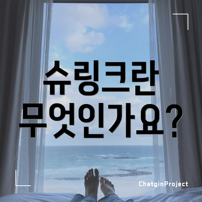 슈링크란 무엇인가요?