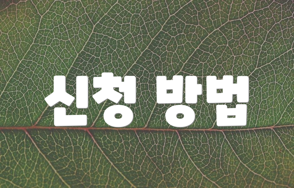 신청 방법