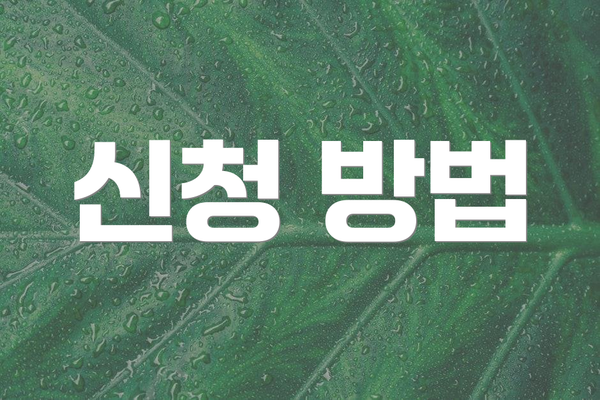 신청 방법