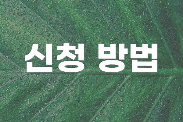 신청 방법