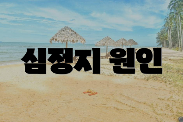 심정지 원인