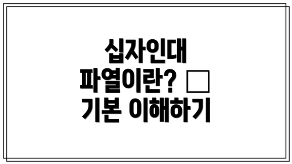 십자인대 파열이란? – 기본 이해하기