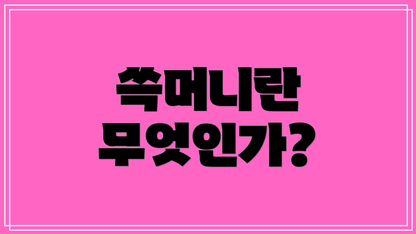 쓱머니란 무엇인가?