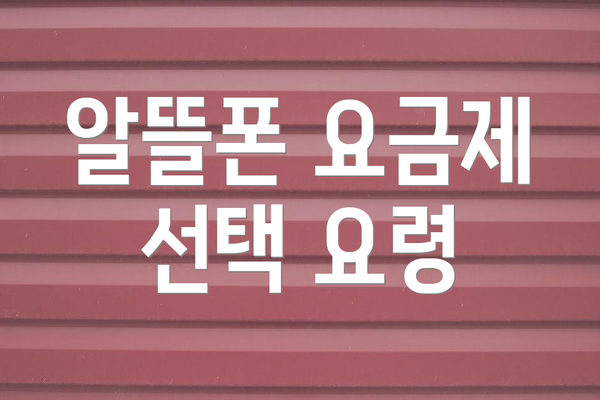 알뜰폰 요금제 선택 요령