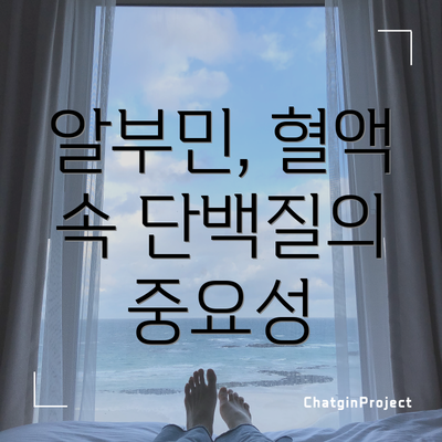 알부민, 혈액 속 단백질의 중요성