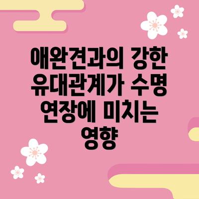 애완견과의 강한 유대관계가 수명 연장에 미치는 영향