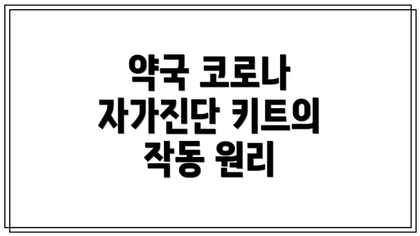 약국 코로나 자가진단 키트의 작동 원리