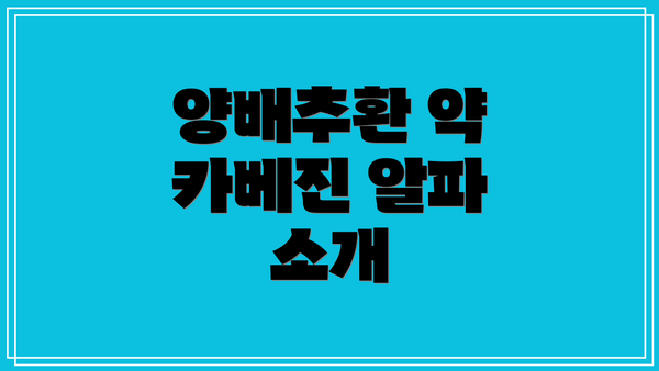 양배추환 약 카베진 알파 소개