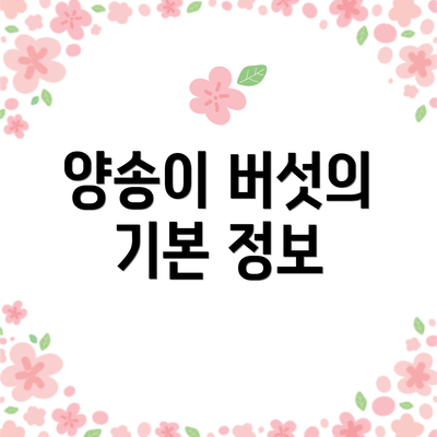 양송이 버섯의 기본 정보
