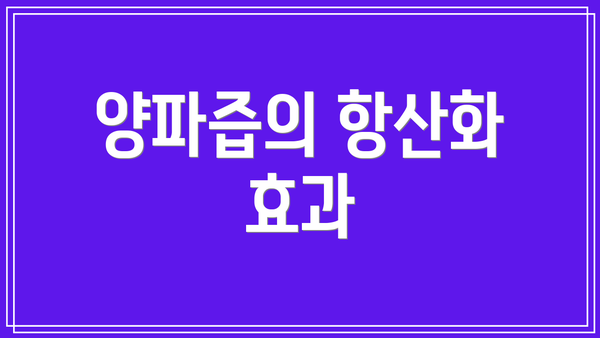 양파즙의 항산화 효과