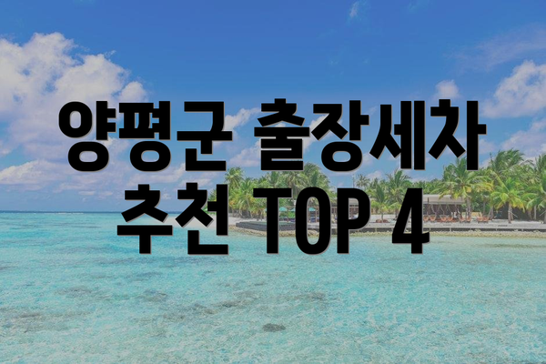 양평군 출장세차 추천 TOP 4