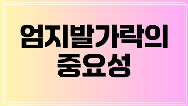 엄지발가락의 중요성