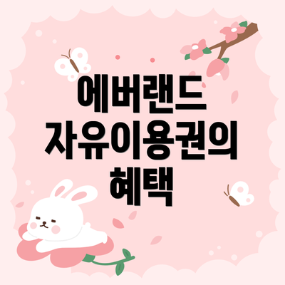 에버랜드 자유이용권의 혜택