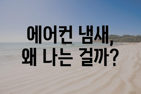 에어컨 냄새, 왜 나는 걸까?