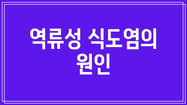역류성 식도염의 원인