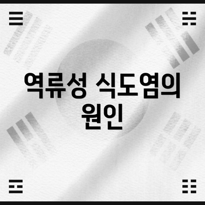 역류성 식도염의 원인