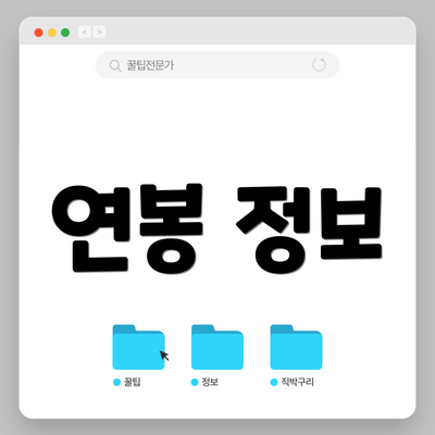 연봉 정보