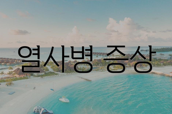 열사병 증상