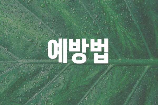 예방법