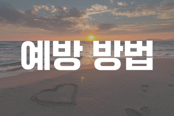 예방 방법