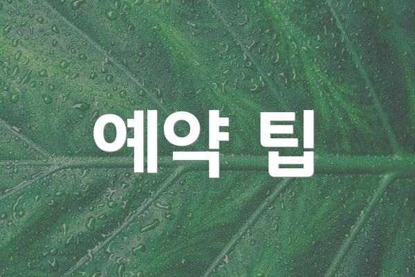 예약 팁