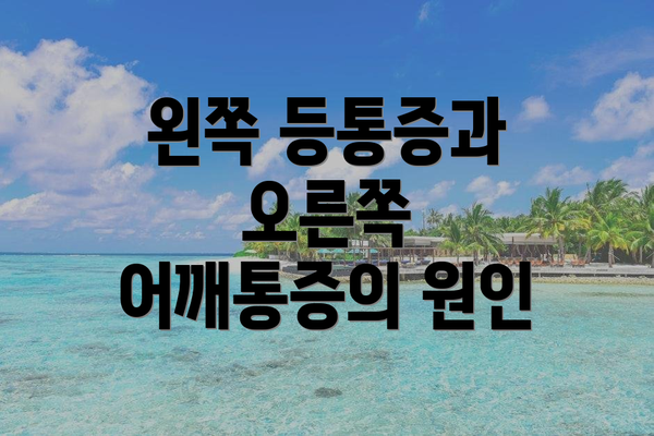 왼쪽 등통증과 오른쪽 어깨통증의 원인