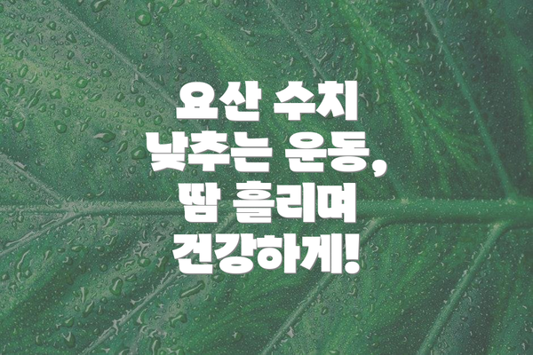요산 수치 낮추는 운동, 땀 흘리며 건강하게!