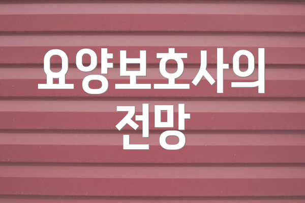 요양보호사의 전망
