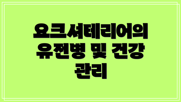요크셔테리어의 유전병 및 건강 관리