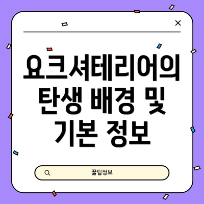 요크셔테리어의 탄생 배경 및 기본 정보