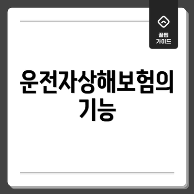 운전자상해보험의 기능