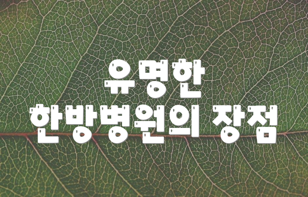 유명한 한방병원의 장점
