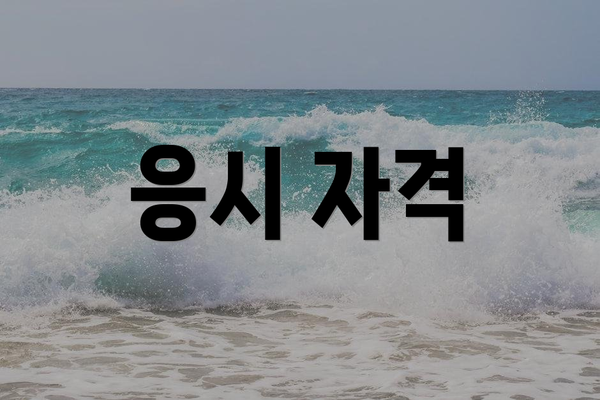 응시 자격