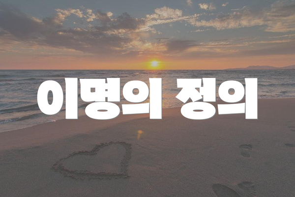 이명의 정의