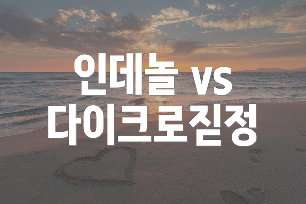인데놀 vs 다이크로짇정