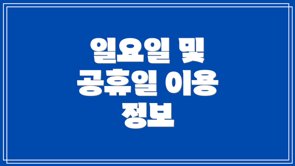 일요일 및 공휴일 이용 정보