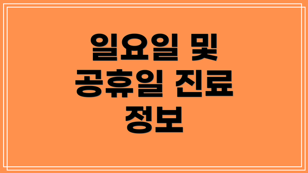 일요일 및 공휴일 진료 정보