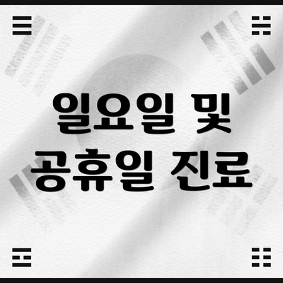 일요일 및 공휴일 진료